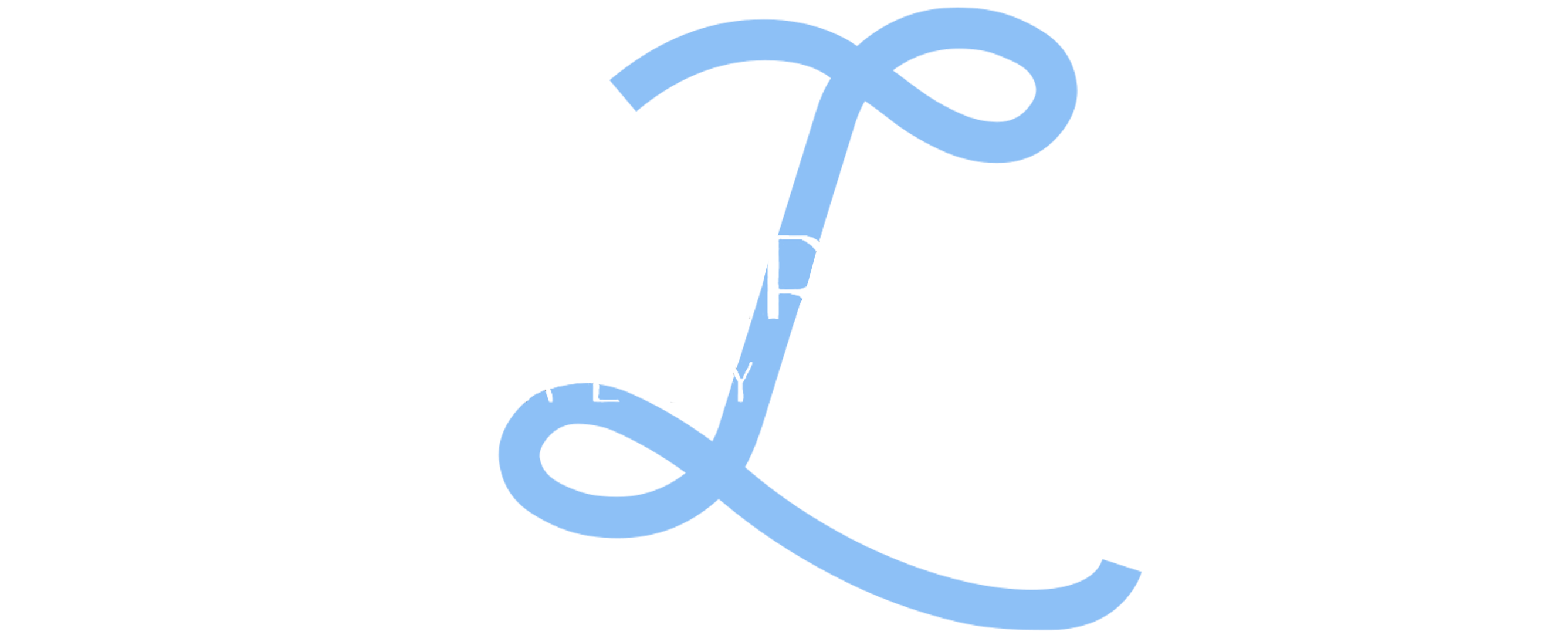 Company Name